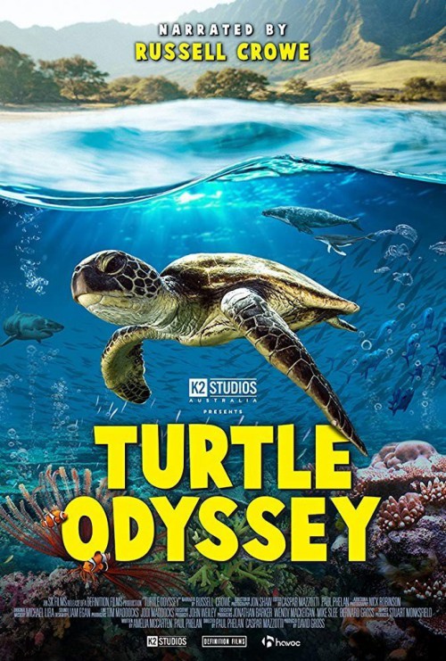 1575222440 turtle odyssey